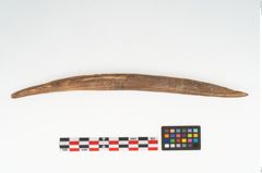 Foto von Holzgerät (NHMW-PRAE-003505)